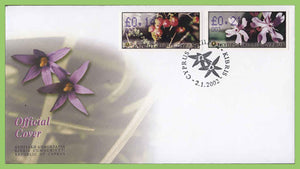 Cyprus 2002 0.14 and 0.21 Flowers ATM (Machine) label stamp First Day cover