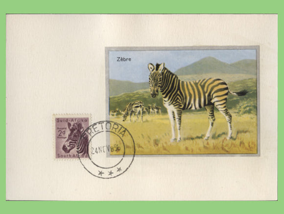 South Africa 1956 2d Zebra on Maximum Card, Pretoria